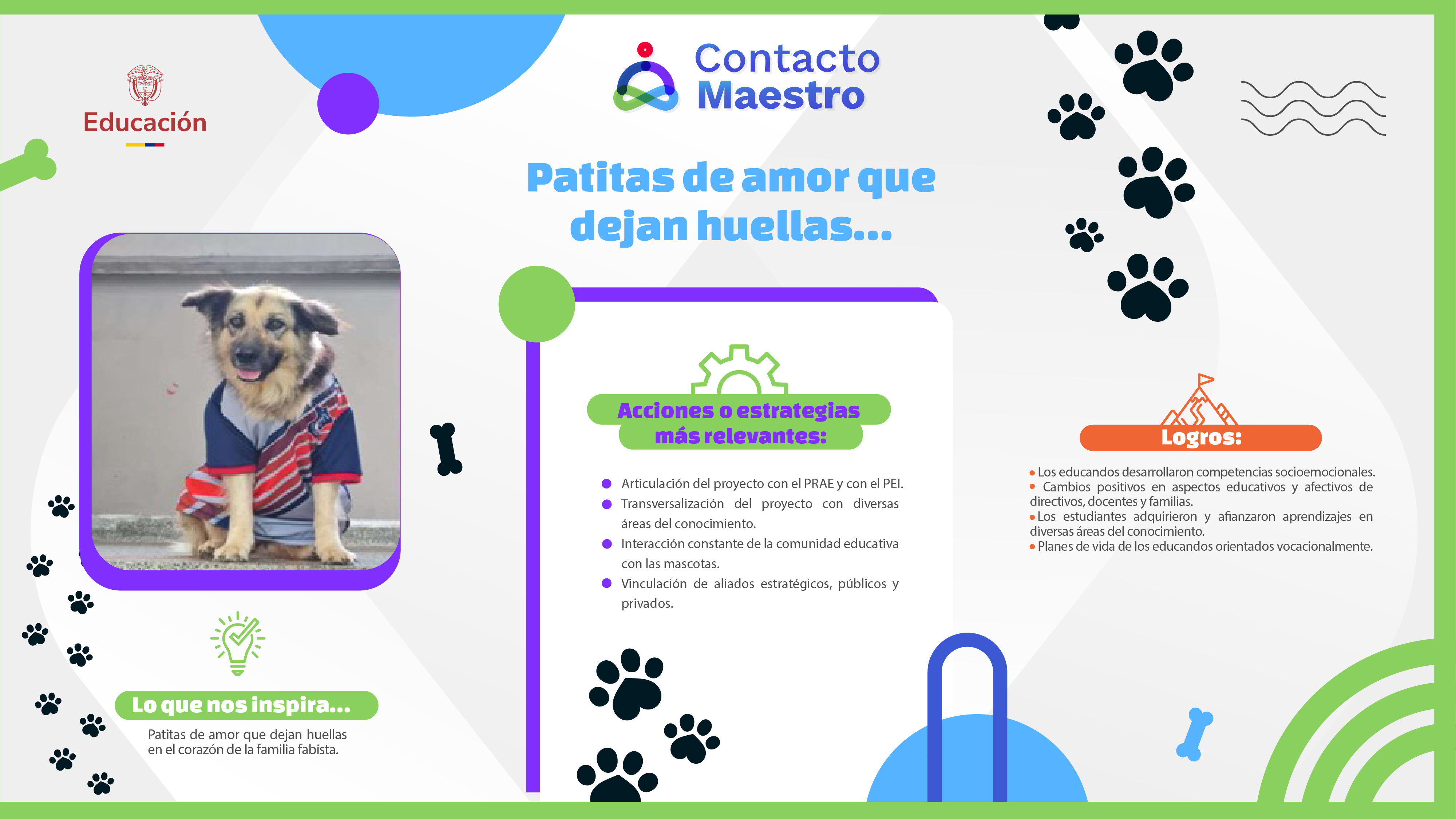 Experiencias _Patitas de amor 