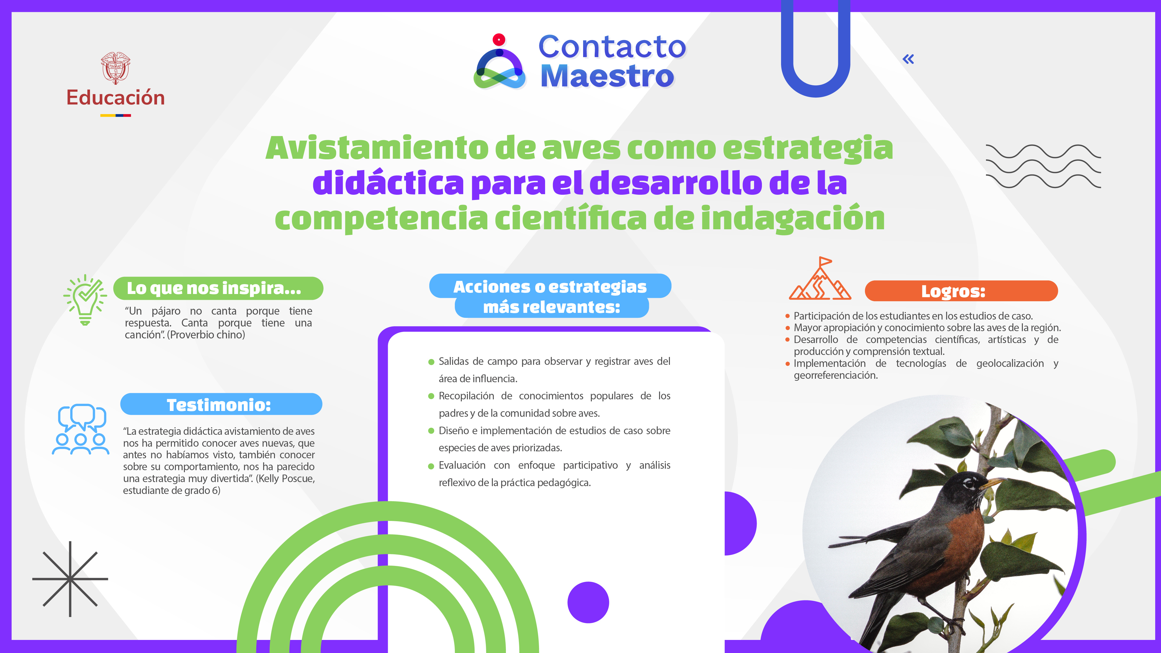 Experiencias _avistamiento de aves 