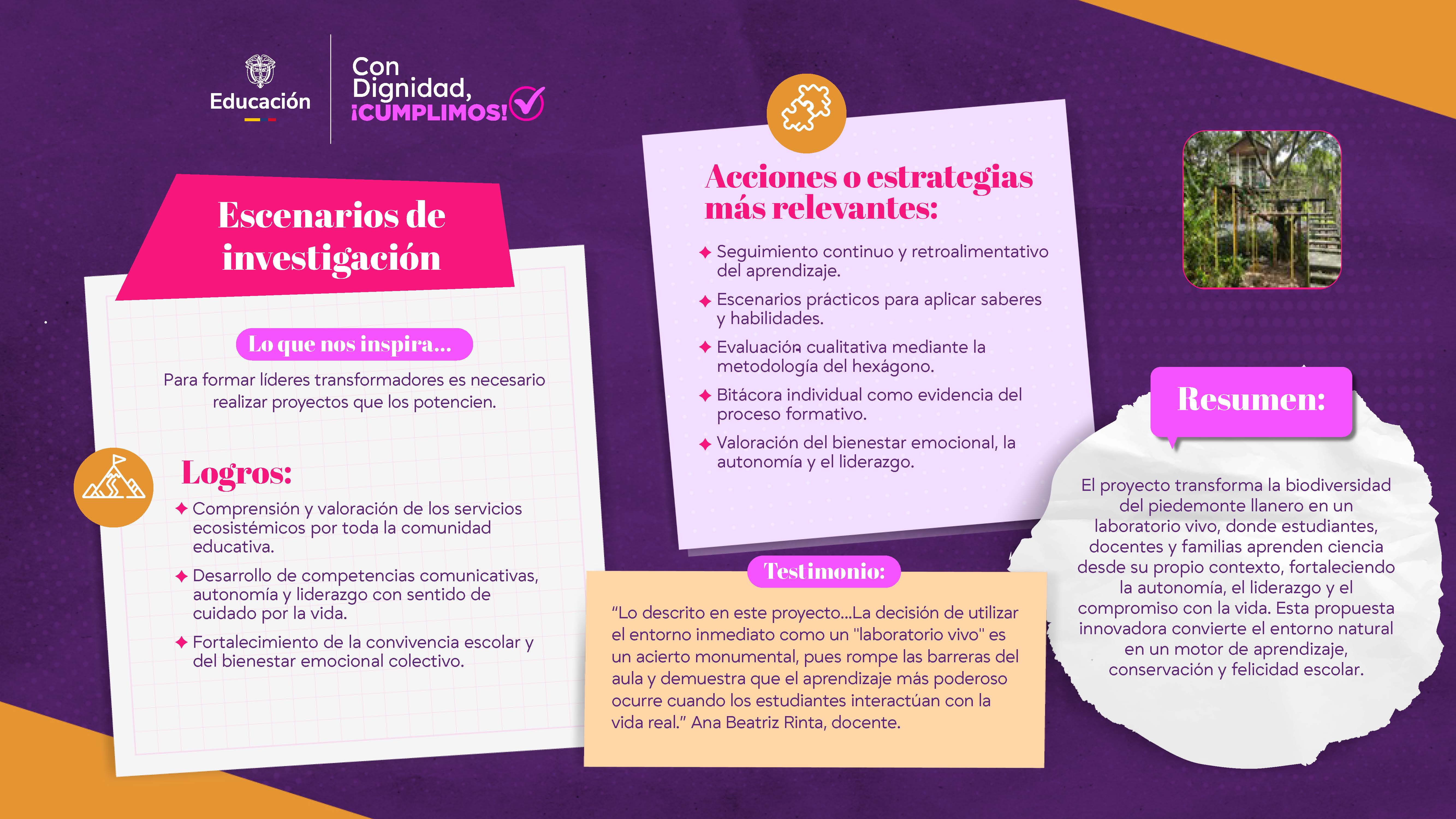 Escenarios de investigación