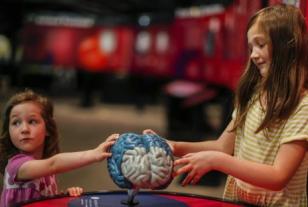 Foto de dos niñas tocando un cerebro de plastilina