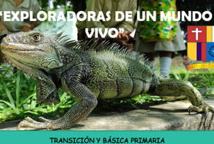 Cartago exploradoras foto