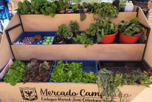 Mercado Campesino 2023