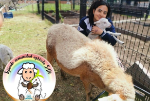 Tejiendo comunidad educativa