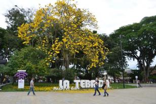 Parque de La Tebaida