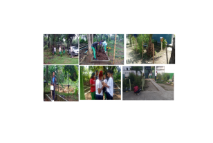 Institución Educativa Navarro