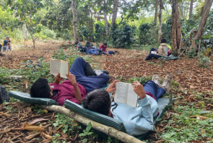 Lectura en el Cafetal
