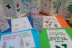 El Alma del Territorio en Palabras