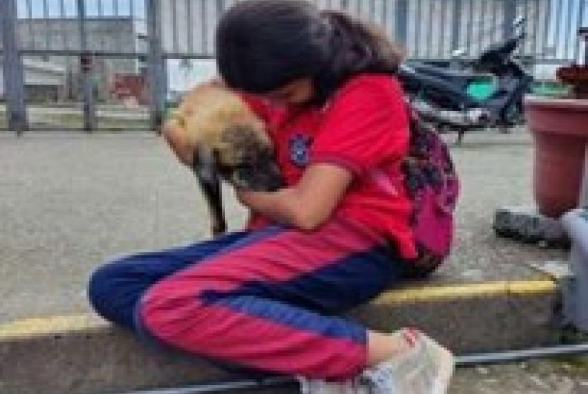 Estudiante interacción con mascota