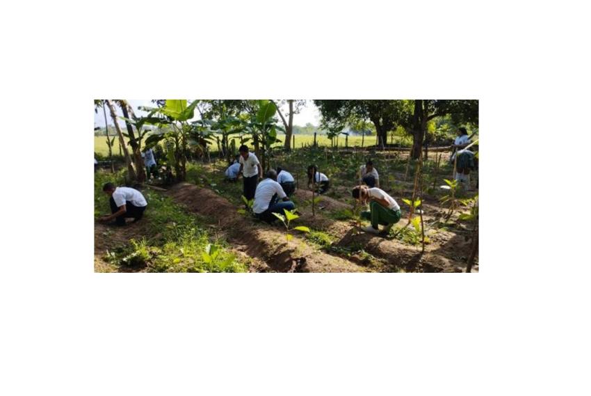 Aula viva: promoción de conciencia ambiental y rescate de la cultura y productividad de la tierra a través de un entorno vivo de aprendizaje 