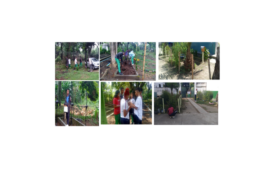 Institución Educativa Navarro