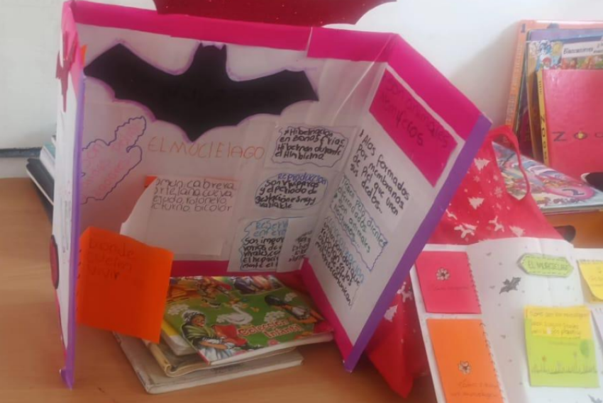 La emoción de leer y escribir