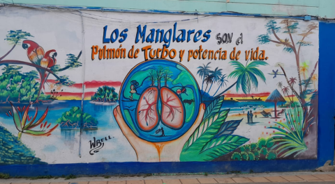 Los manglares de mi pueblo Imagen 1 