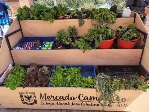 Mercado Campesino 2023