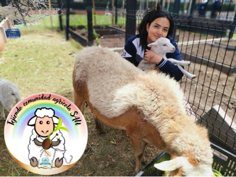 Tejiendo comunidad educativa