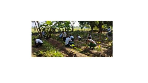 Aula viva: promoción de conciencia ambiental y rescate de la cultura y productividad de la tierra a través de un entorno vivo de aprendizaje 
