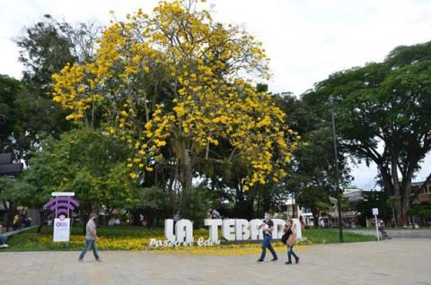 Parque de La Tebaida