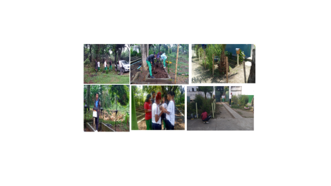 Institución Educativa Navarro