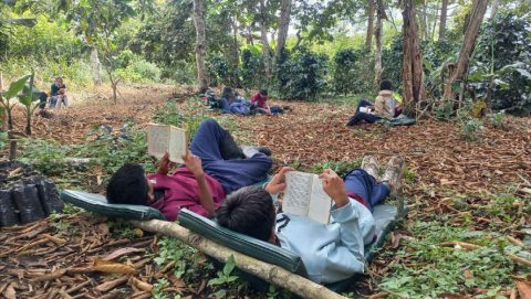 Lectura en el Cafetal