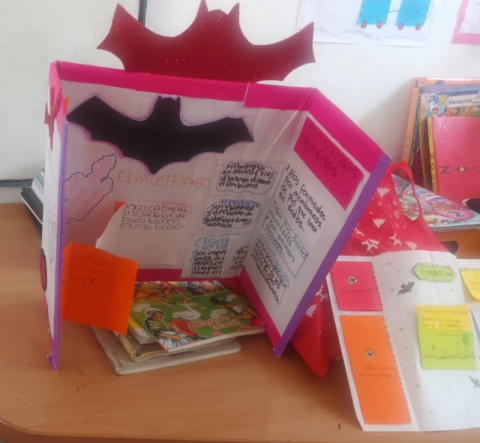 La emoción de leer y escribir