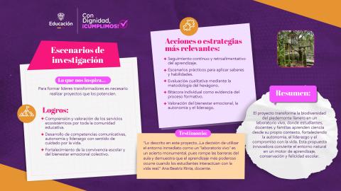 Escenarios de investigación