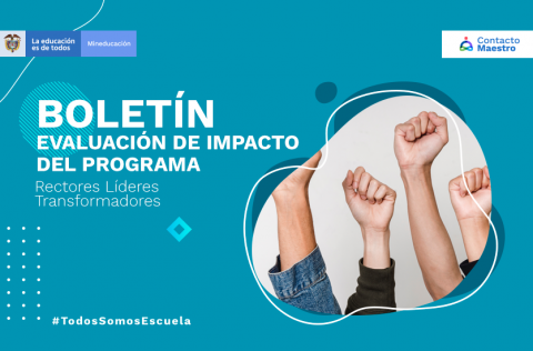 muchas manos arriba en señal de triunfo