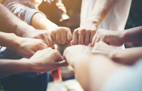 Brazos estirados y manos juntas de varias personas