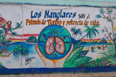 Los manglares de mi pueblo Imagen 1 
