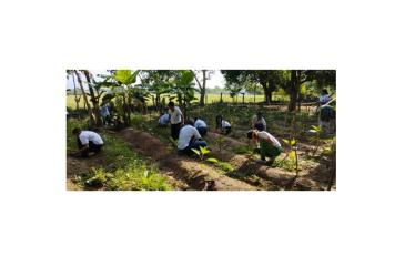 Aula viva: promoción de conciencia ambiental y rescate de la cultura y productividad de la tierra a través de un entorno vivo de aprendizaje 