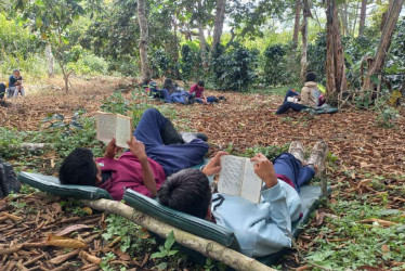 Lectura en el Cafetal
