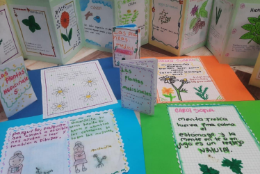 El Alma del Territorio en Palabras